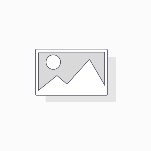 [1004503500] Raw Cone